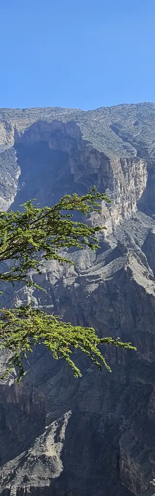 Mietwagenreise durch den faszinierenden und vielfältigen Oman